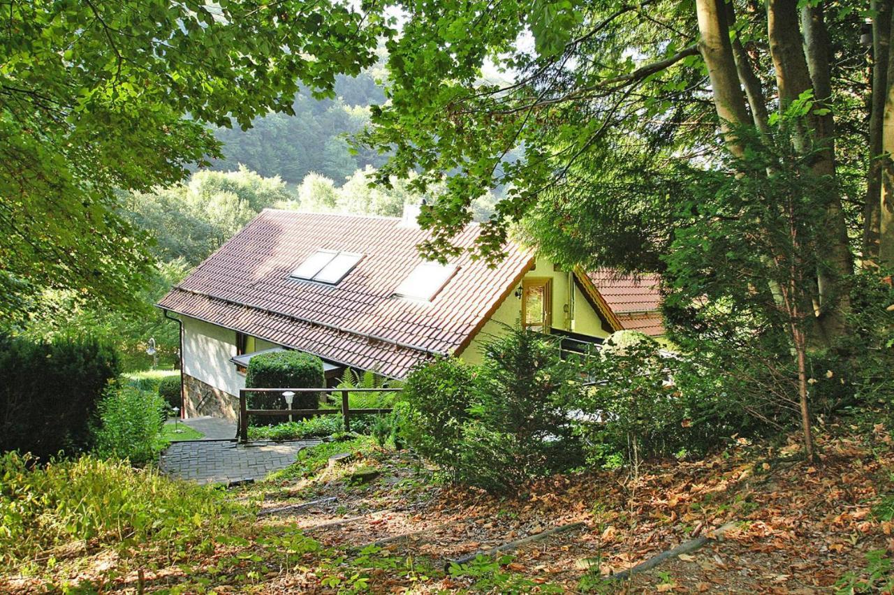 Holiday Home Haus Am Berg Lonau - Dmg03056-Eyc Herzberg am Harz Exterior photo